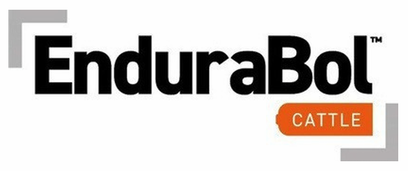 EnduraBol Cattle
